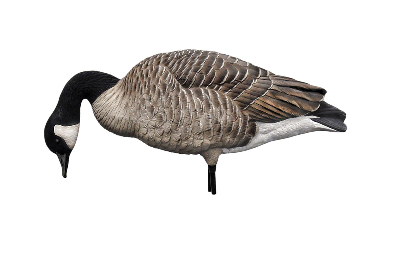 AVIAN X AXP Fusion Honker 6 Pack