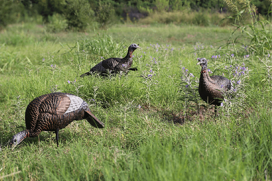 FLEXTONE Thunder Chick Feeding Hen Decoy