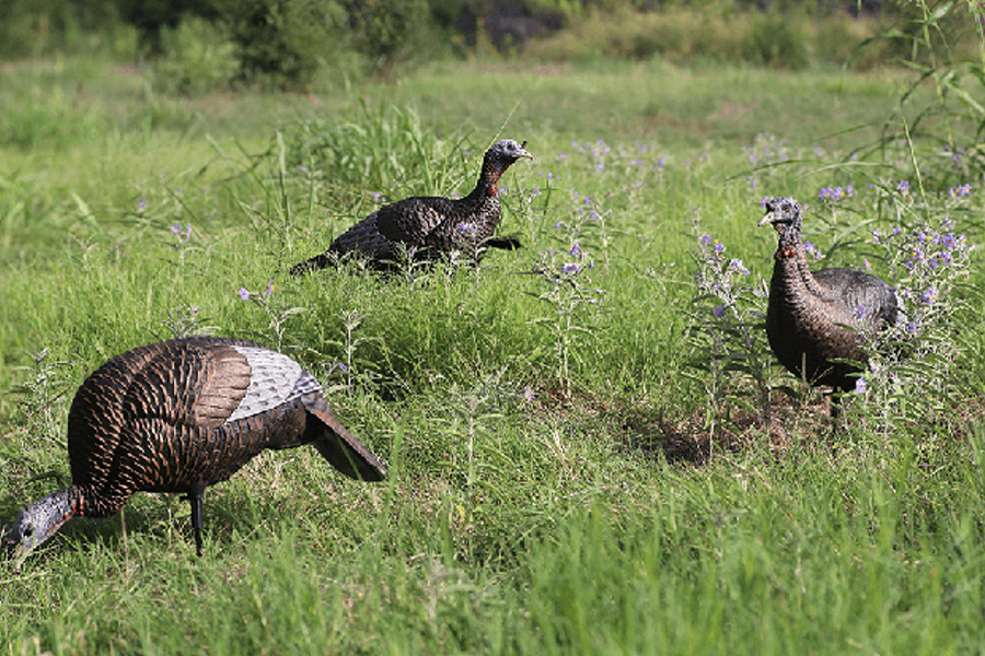 FLEXTONE Thunder Chick Upright Hen Decoy