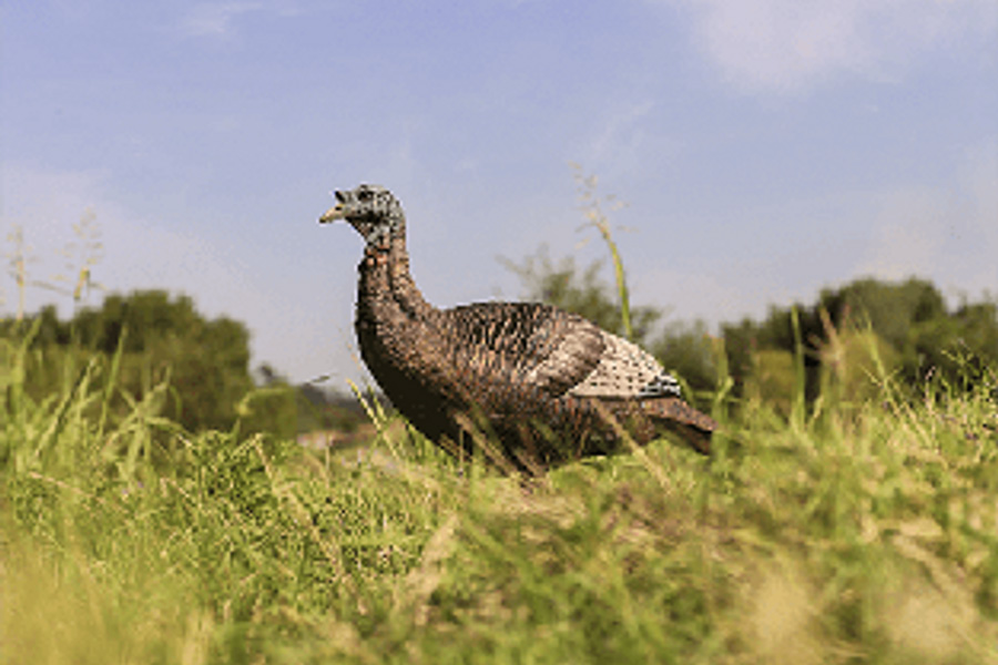 FLEXTONE Thunder Chick Upright Hen Decoy