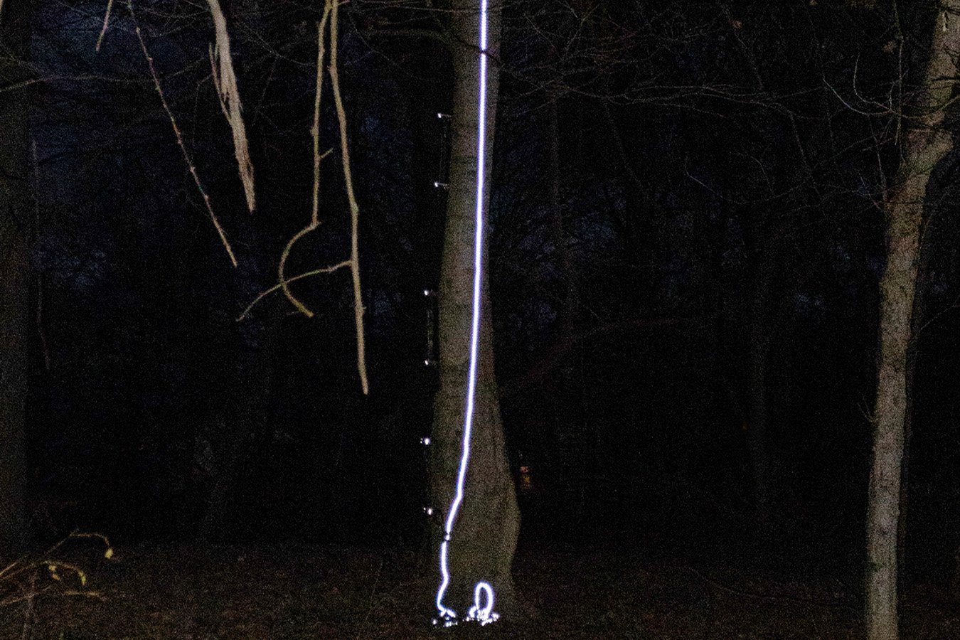 MALTA HUNTING SAFETY 30ft Reflective Lifeline