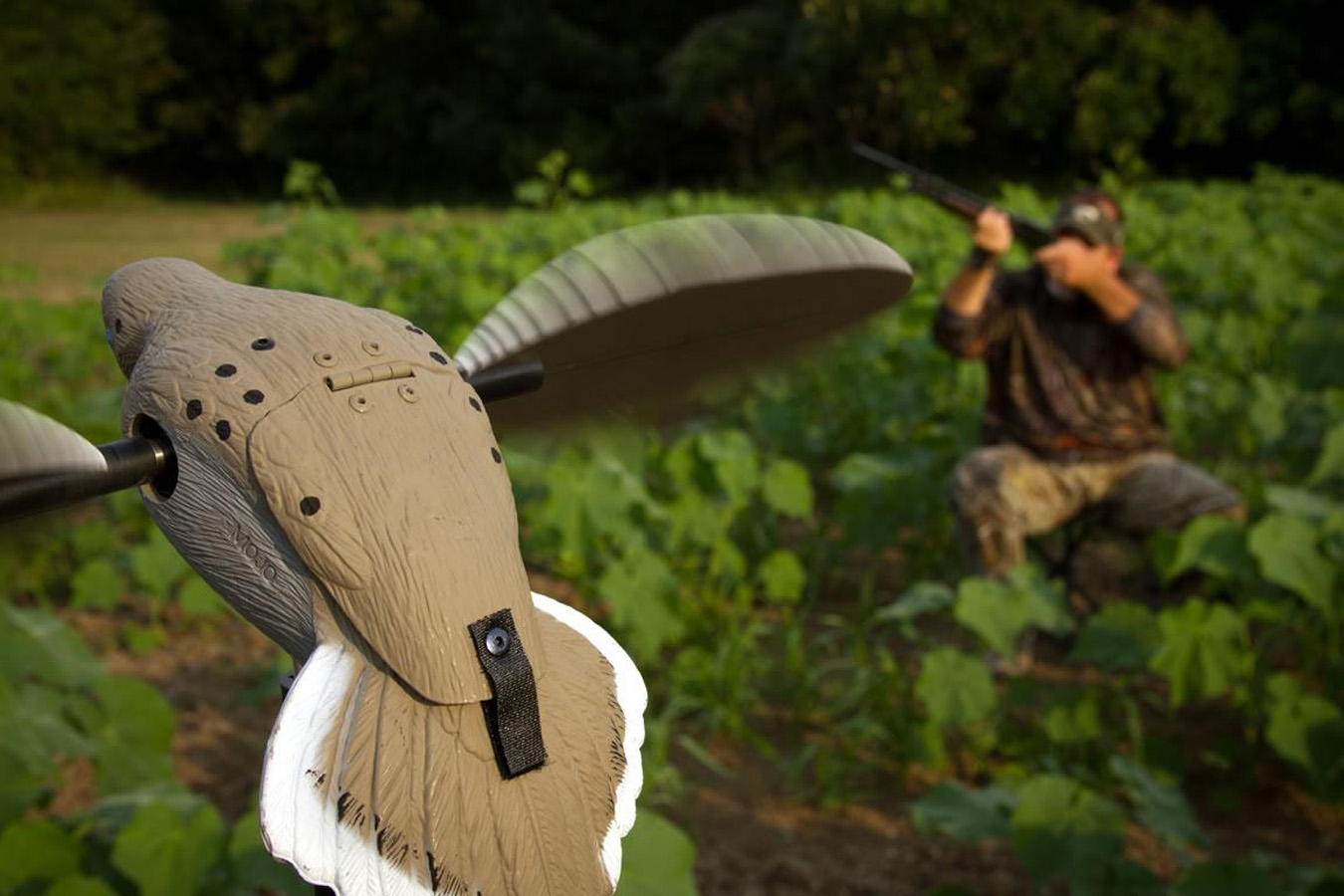 MOJO OUTDOORS Voodoo 3D Dove Decoy