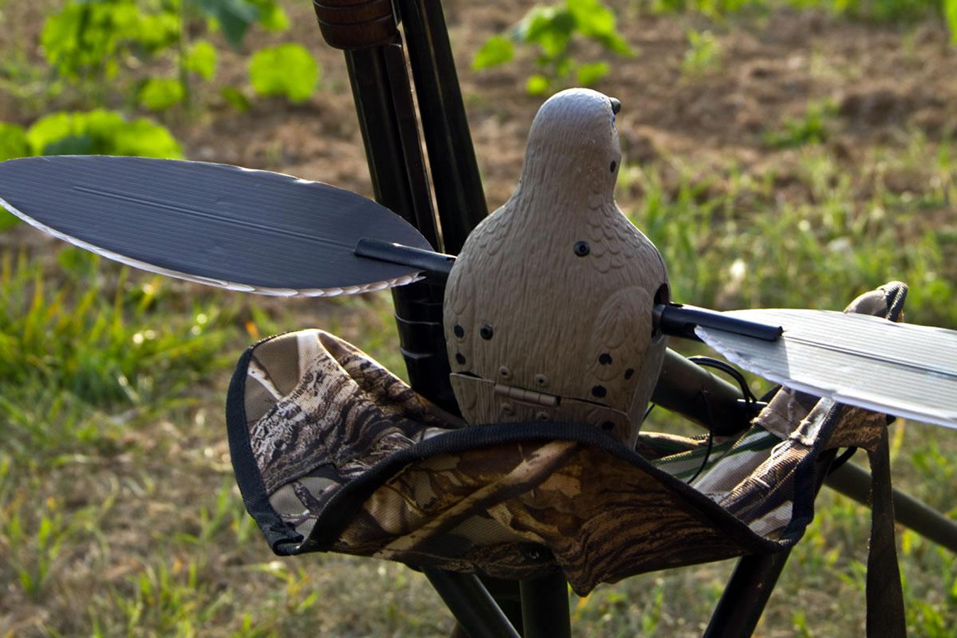 MOJO OUTDOORS Voodoo 3D Dove Decoy