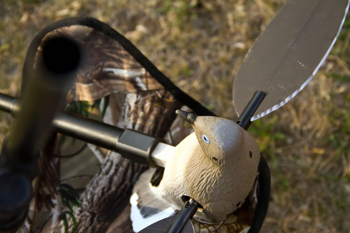 MOJO OUTDOORS Voodoo 3D Dove Decoy